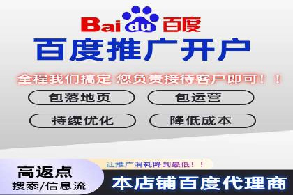 短视频平台上的信息流广告投放效果分析